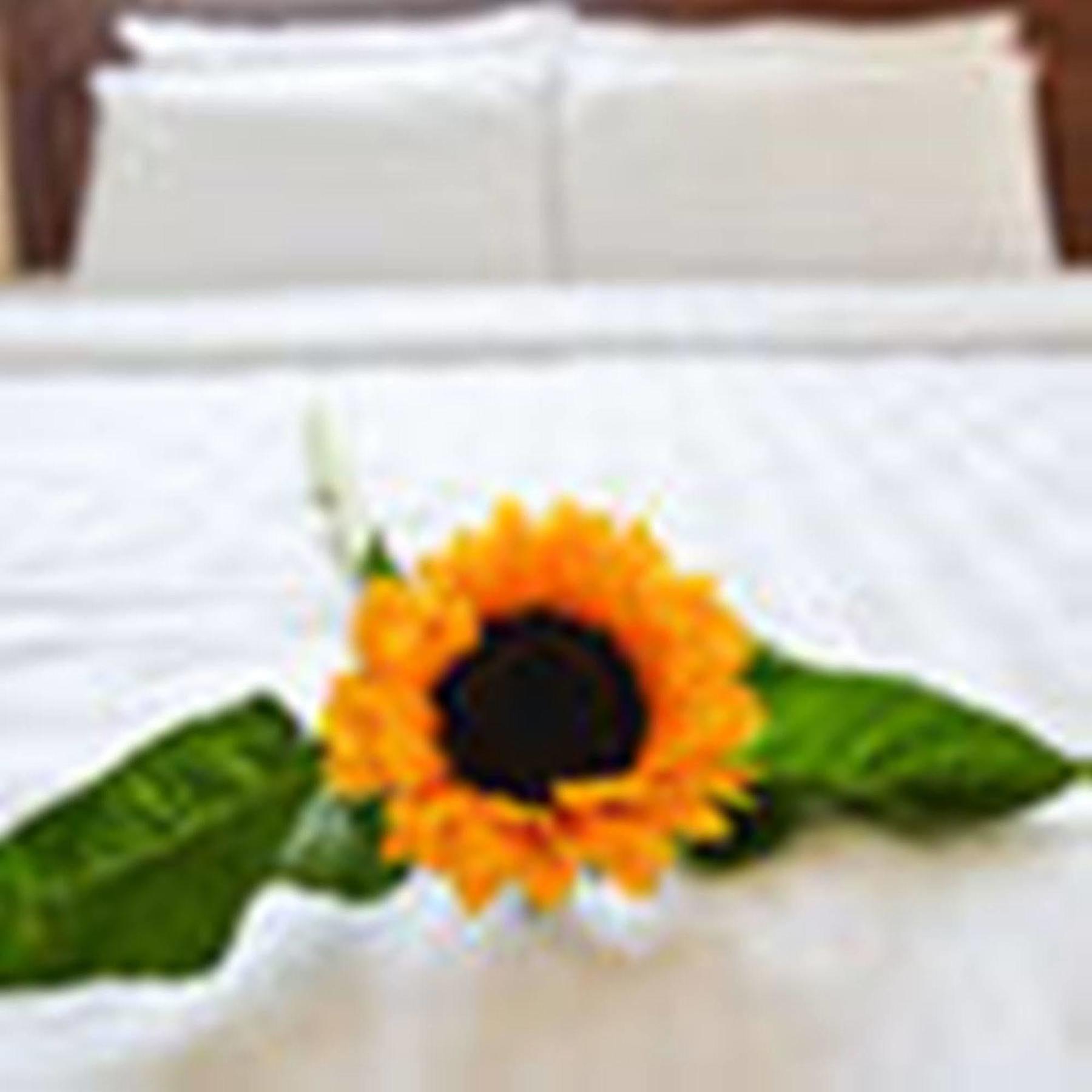 Fulmar Hotel Дананг Екстер'єр фото